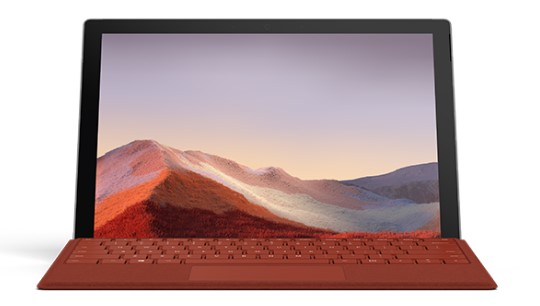 龙湖清洁和维护 Surface